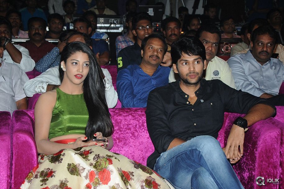Hora-Hori-Movie-Audio-Launch